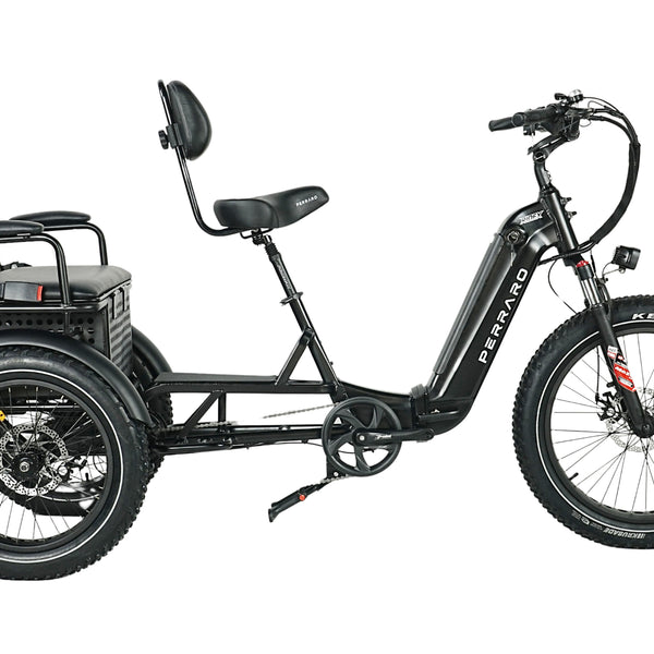 Ridex Passenger Seat Electric Trike