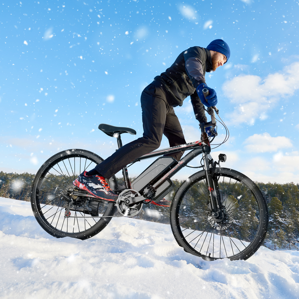 26'' 750W Motor Power, Up to 65 Miles 28MPH Electric Mountain Bike with 48V 480WH Removable Battery with Key, Adjustable Seat, Fenders, LCD Display, Password Lock, 7-Speed