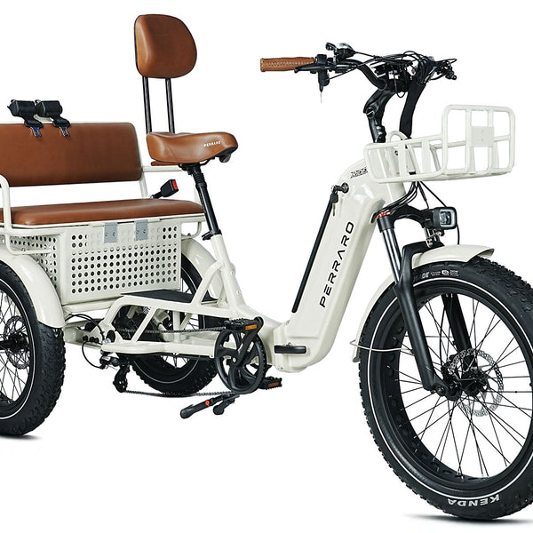 Ridex Passenger Seat Electric Trike