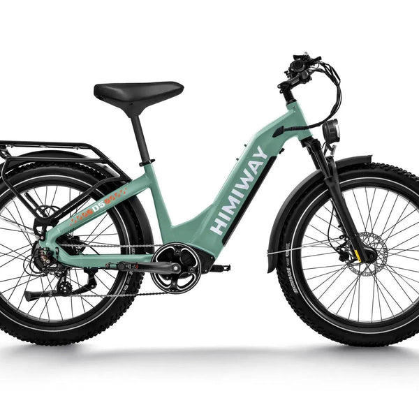 D5 ST(Zebra ST) / All-terrain Electric Fat Bike