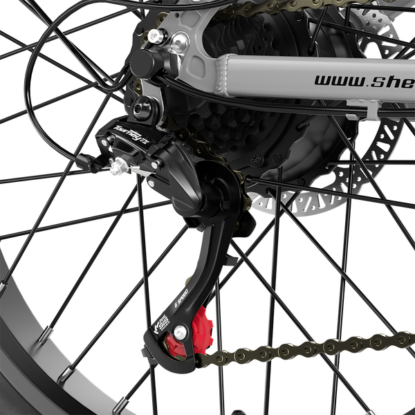 Shengmilo S600 2000W Dual Motor Electric Bike