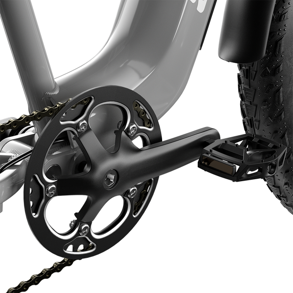 Shengmilo S600 2000W Dual Motor Electric Bike