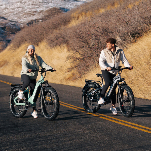 D5 ST(Zebra ST) / All-terrain Electric Fat Bike