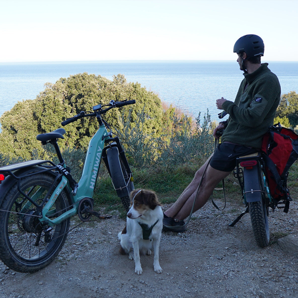 D5 ST(Zebra ST) / All-terrain Electric Fat Bike