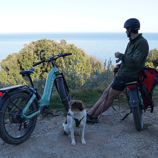 D5 ST(Zebra ST) / All-terrain Electric Fat Bike