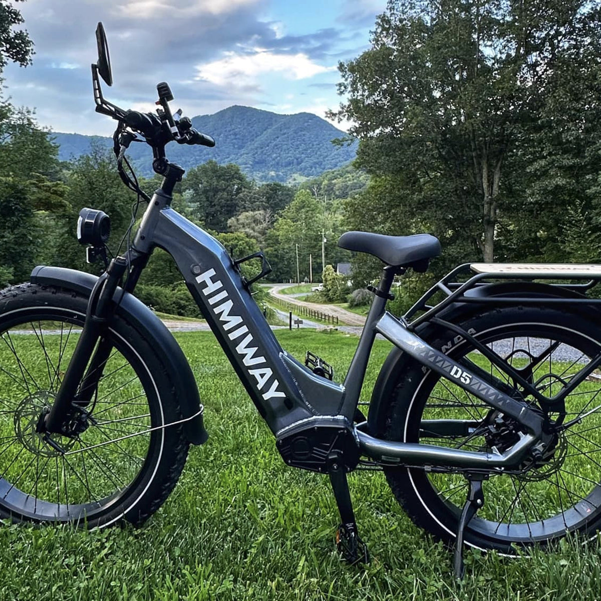 D5 ST(Zebra ST) / All-terrain Electric Fat Bike