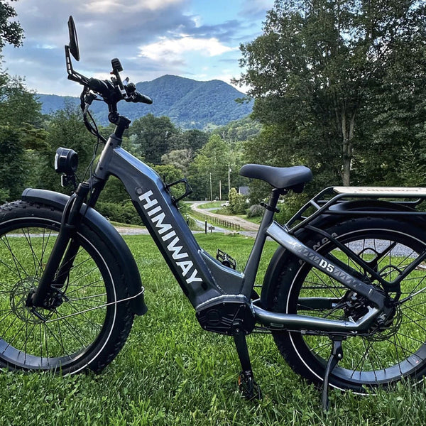 D5 ST(Zebra ST) / All-terrain Electric Fat Bike