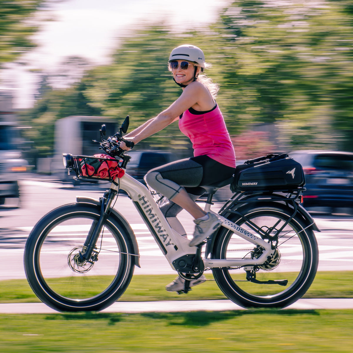 D5 ST(Zebra ST) / All-terrain Electric Fat Bike