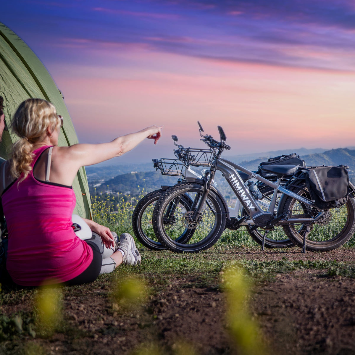 D5 ST(Zebra ST) / All-terrain Electric Fat Bike