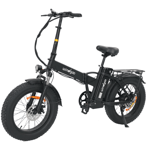F21 Pro - 4,0" Fatbike Off-Road Foldable E Bike