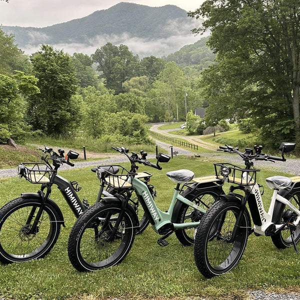 D5 ST(Zebra ST) / All-terrain Electric Fat Bike